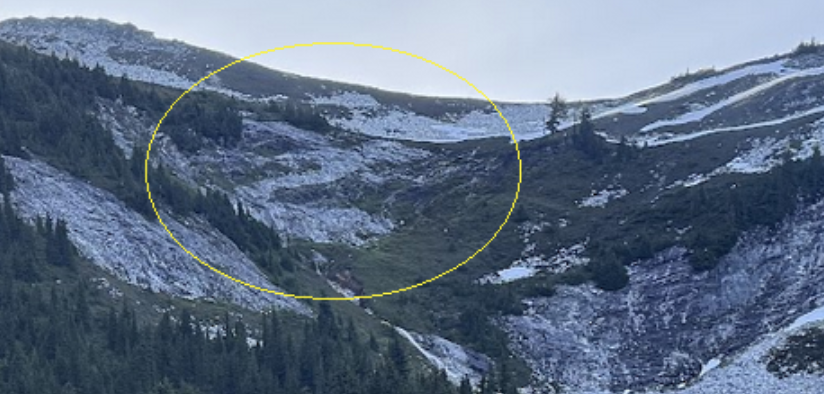 Screenshot 2025-07-11 at 4.26.17 PM.png