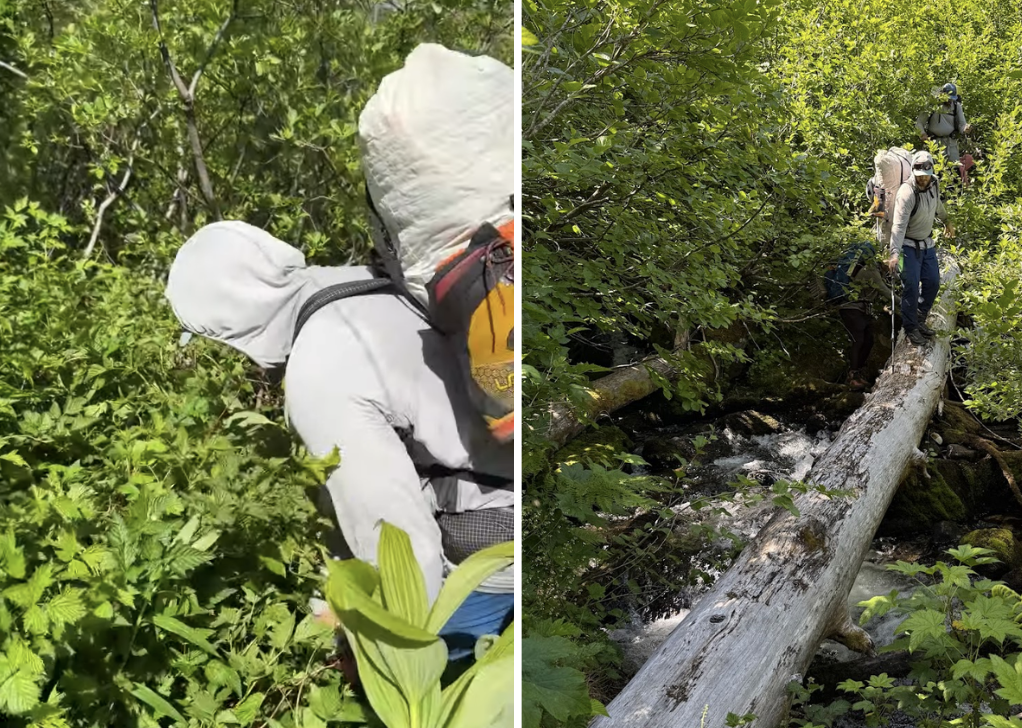 Screenshot 2025-07-11 at 4.27.18 PM.png