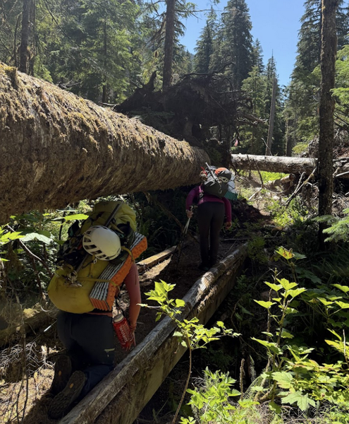 Screenshot 2025-07-11 at 4.28.07 PM.png