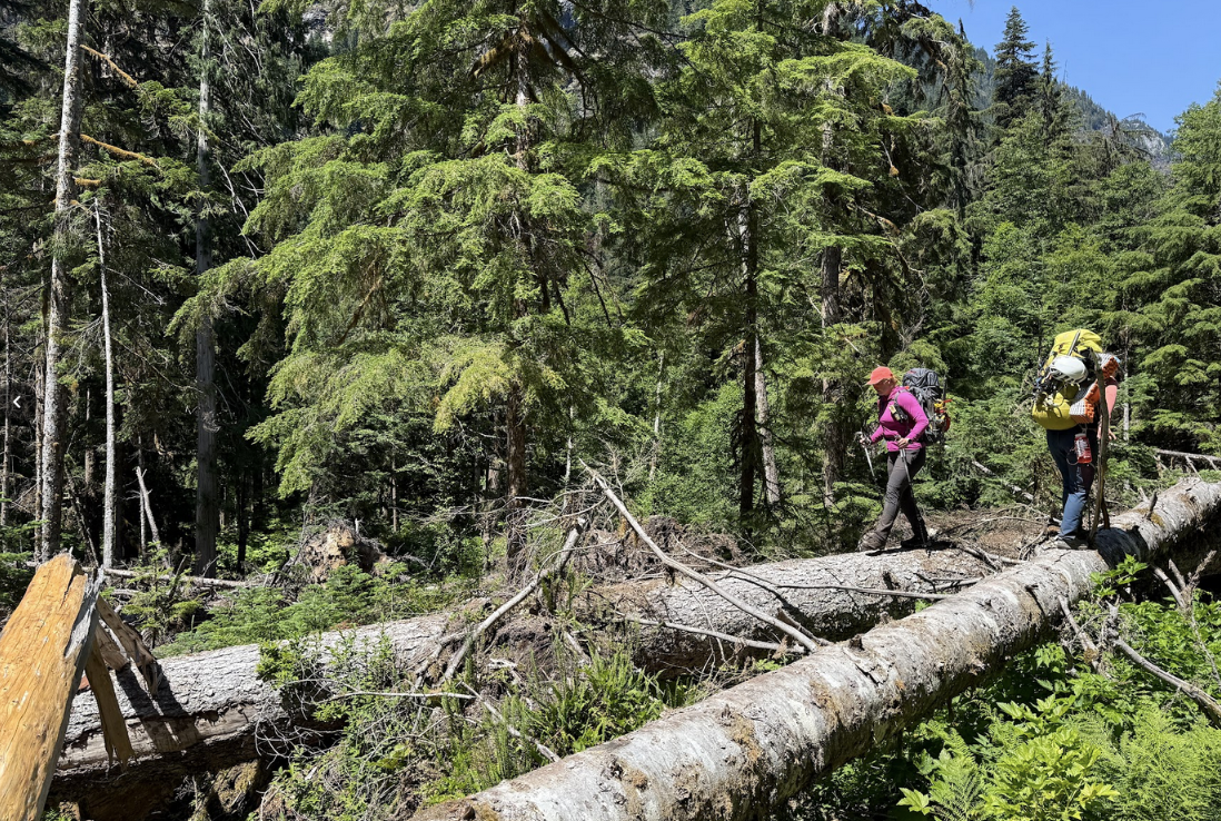 Screenshot 2025-07-11 at 4.28.28 PM.png