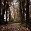 Puyallup Riverwalk Trail