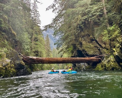 Quinault River (North Fork)