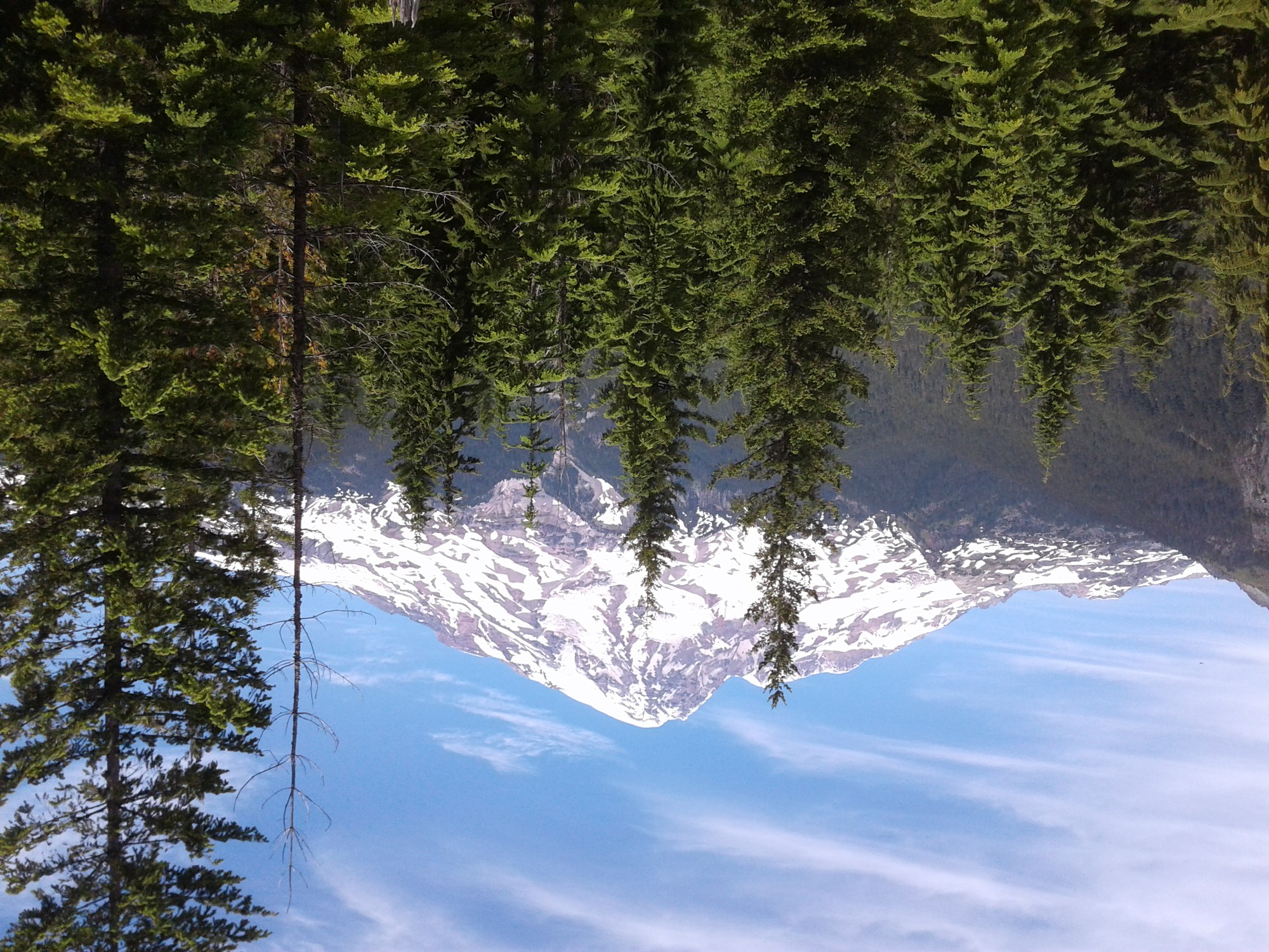 20180708_123157 - Copy.jpg