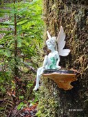 20250328_fairy (Small).jpg