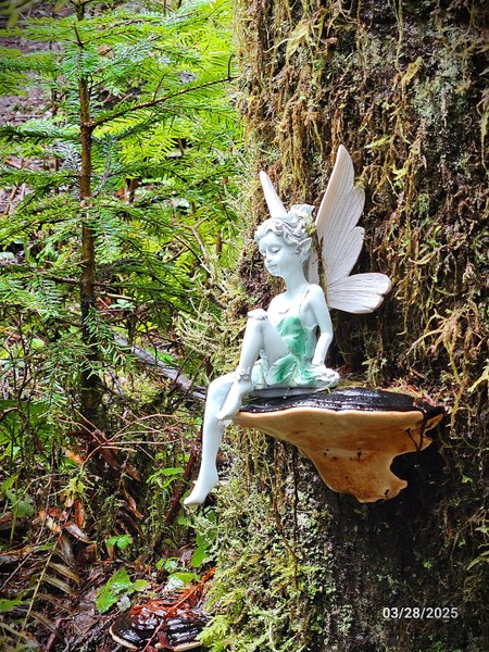 20250328_fairy.jpg