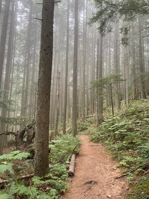 grand prospect aug 2022 pic 1.jpg