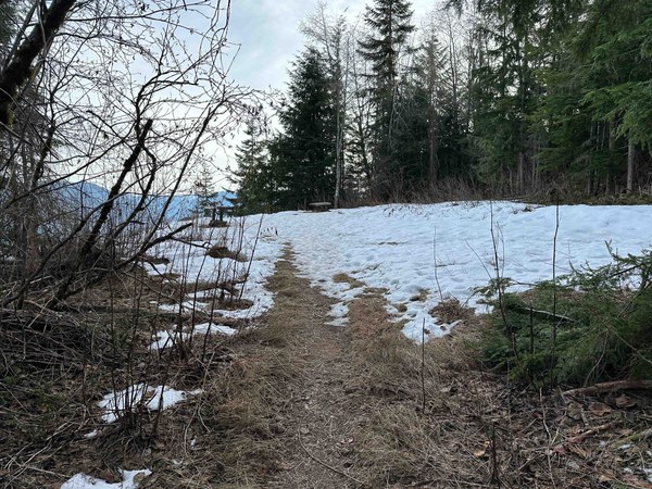 Snow at Grand Prospect untitled-4.jpg