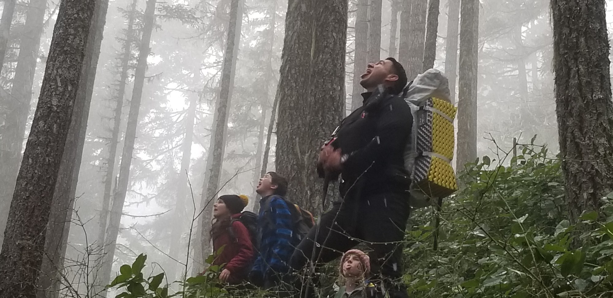 Catching snowflakes.jpg