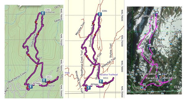 Paradise Easy Snowshoe Tour