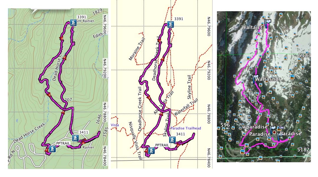 Paradise Easy Snowshoe Tour