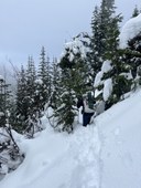 Bushwack Rachel K..jpeg