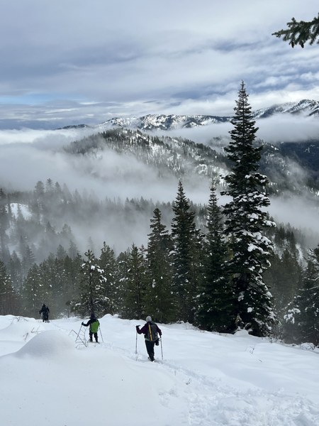 descent Rachel K..jpeg