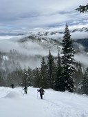 descent Rachel K..jpeg