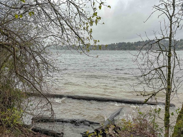 Whitecaps on lake untitled-1.jpg