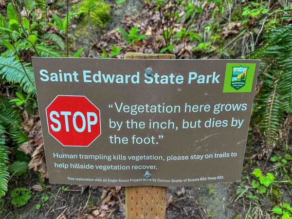 revegetation sign untitled-4.jpg