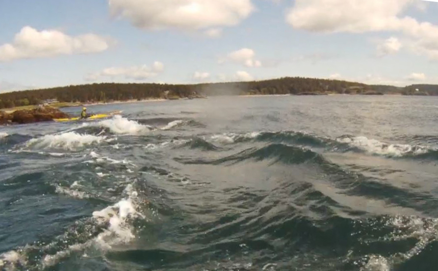 Washington Park- Friday Harbor