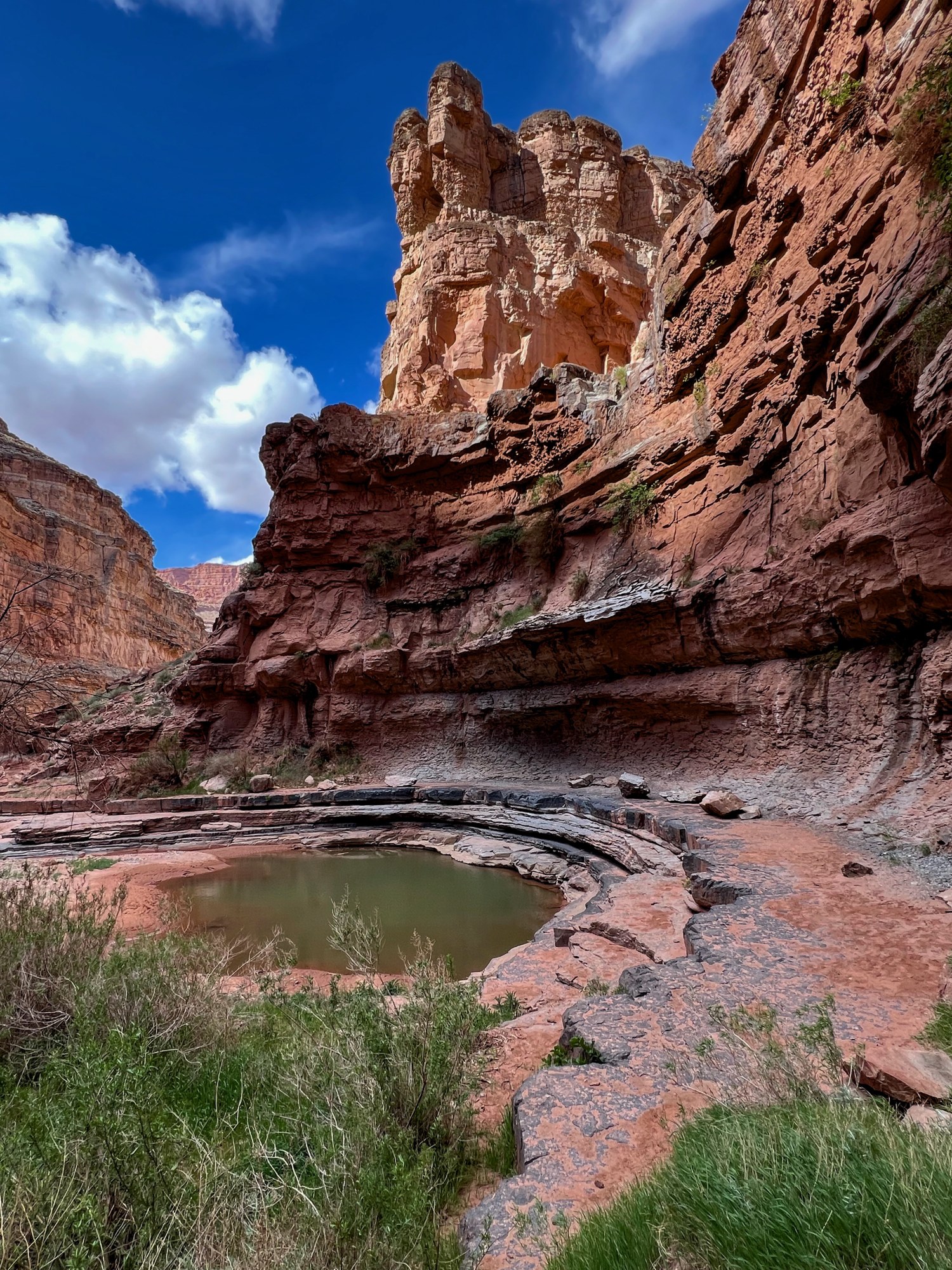 Johns Canyon tinaja.jpeg