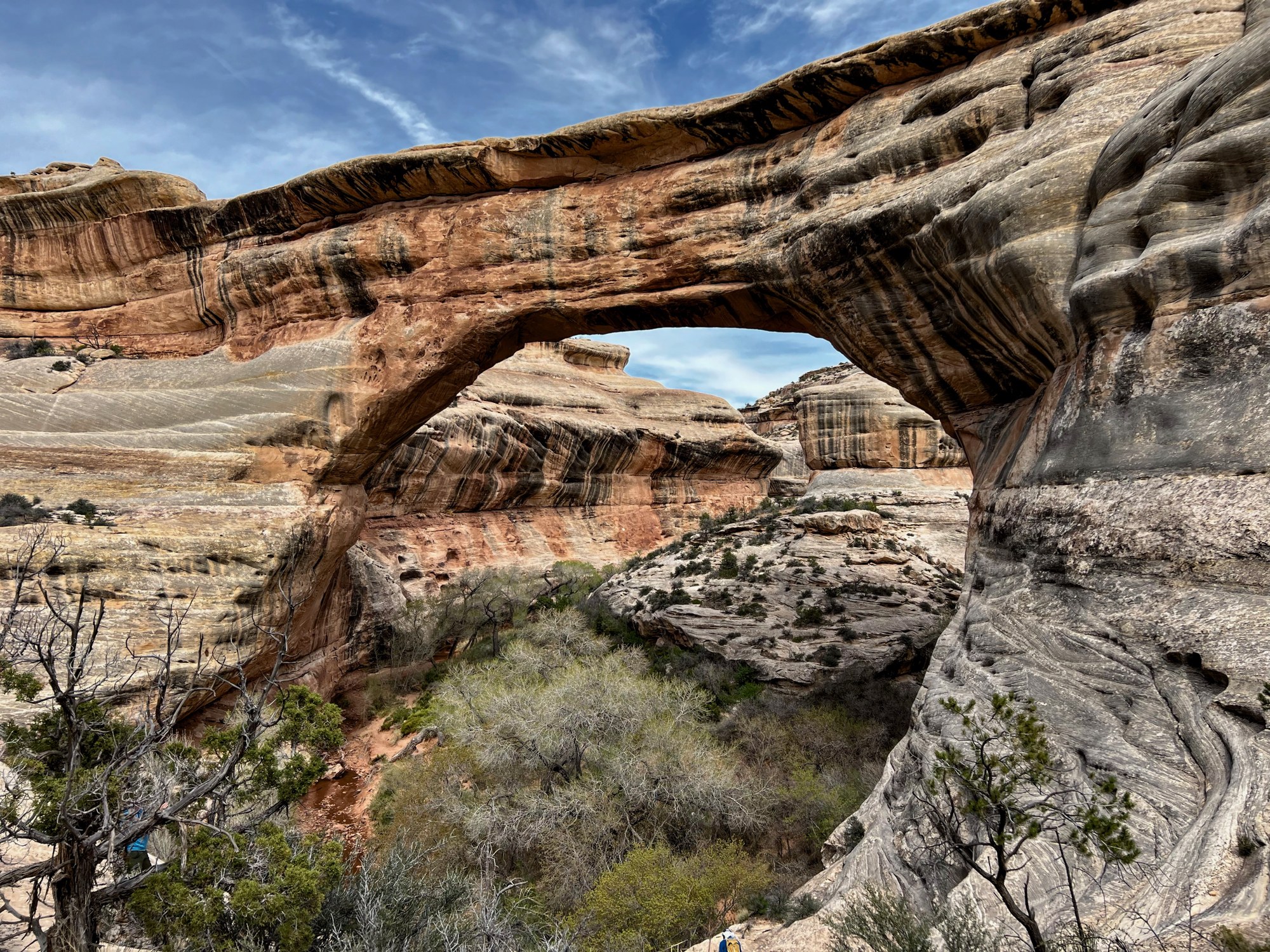 Sipapu Bridge, Natural Bridges.jpeg