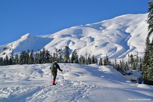 Sasquatch St Helens.jpg