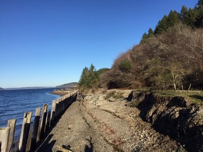 Sequalitchew Canyon & Dupont Bluff