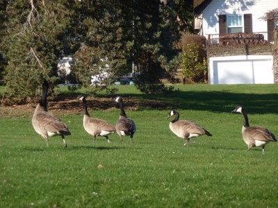 Seward Park