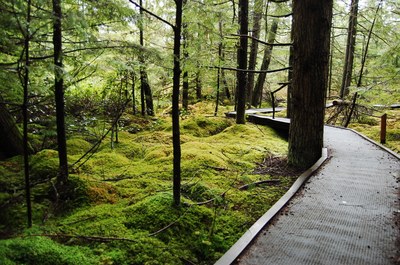 Shadow Lake Nature Preserve