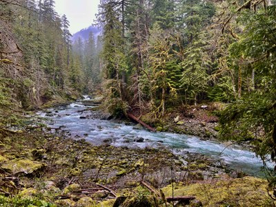 Shady Lane & Staircase Rapids