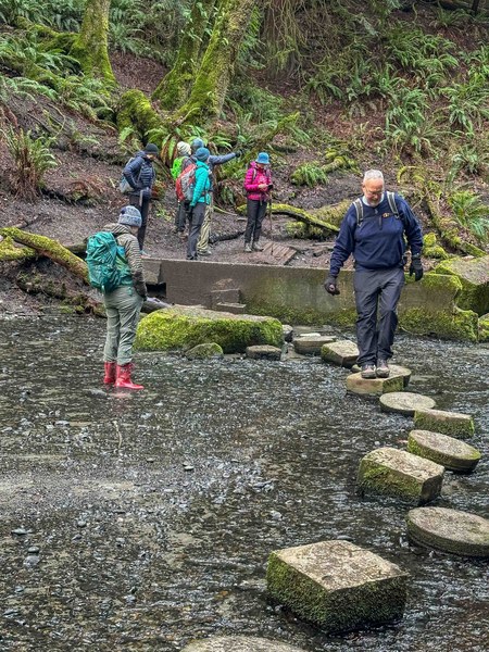 Stepping stones untitled-3.jpg