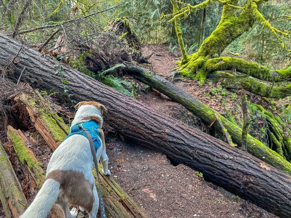 Blow down in Boeing untitled-4.jpg