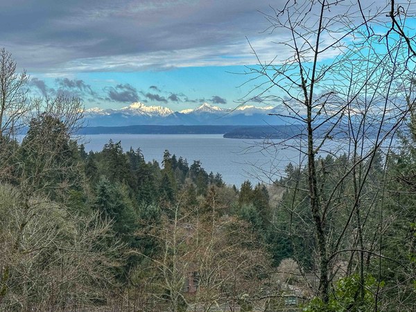 Snow-capped Olympics untitled-7.jpg