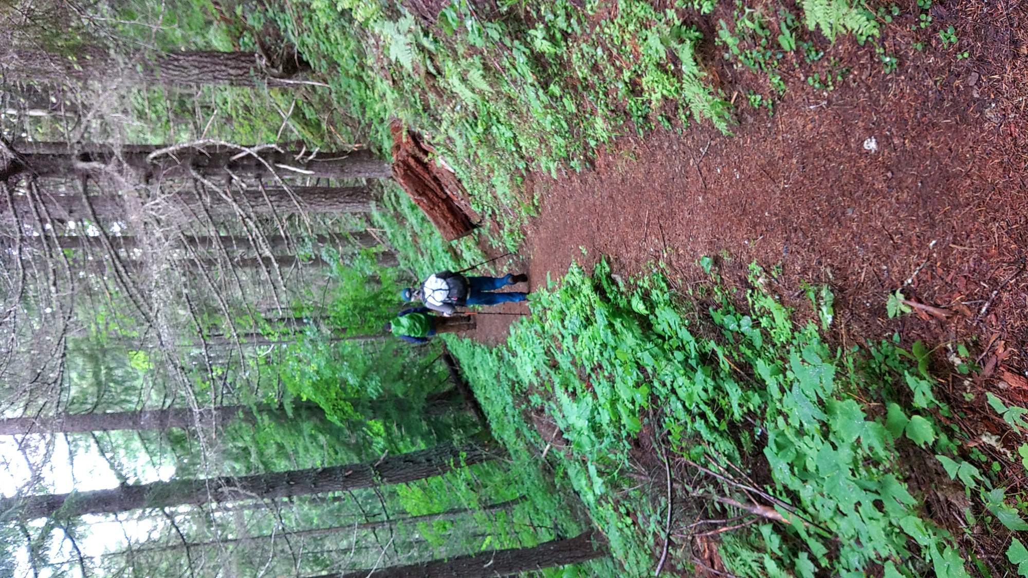 Lower Trail Shriner.JPG