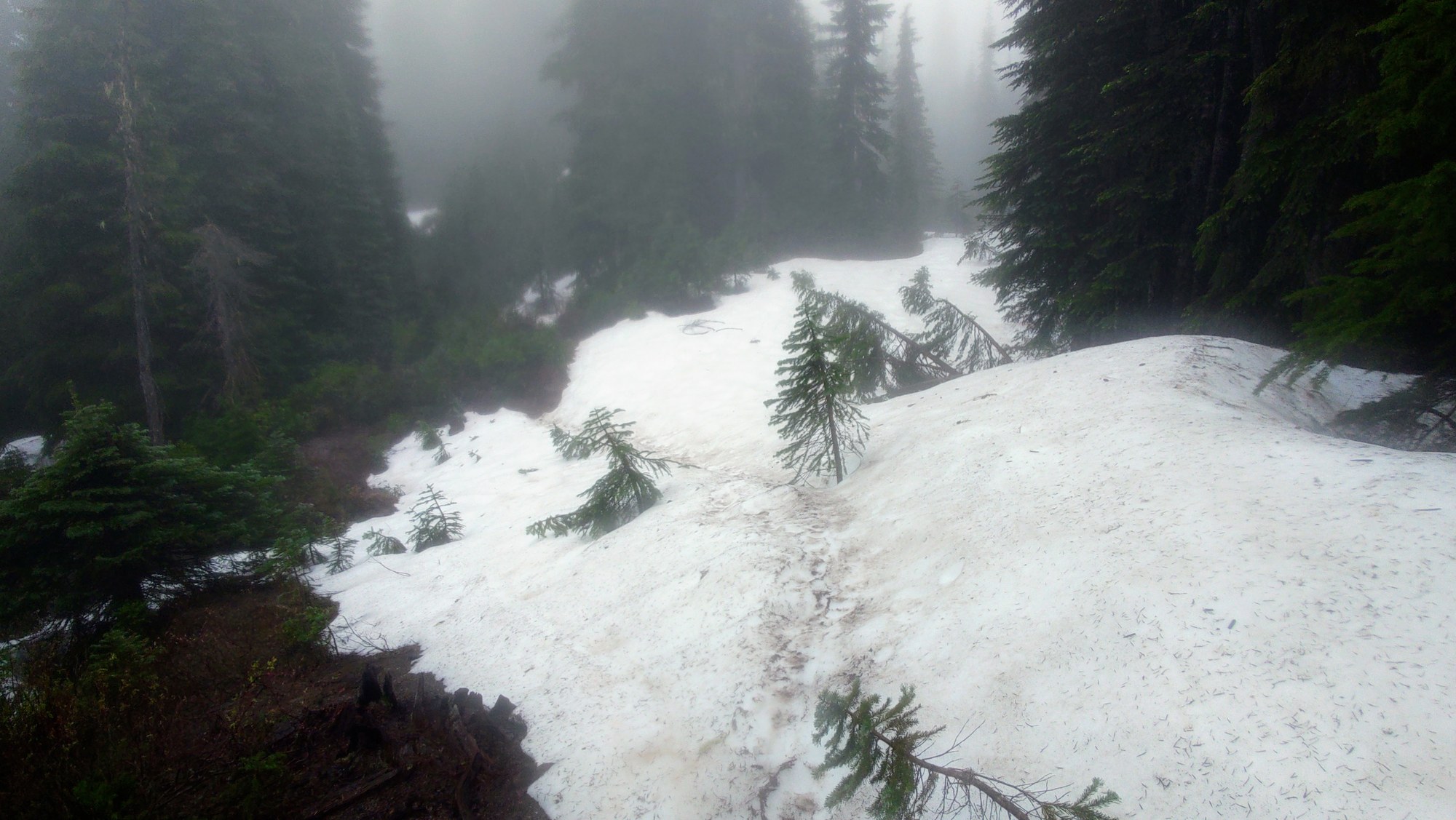 Shriner Trail Snow.JPG