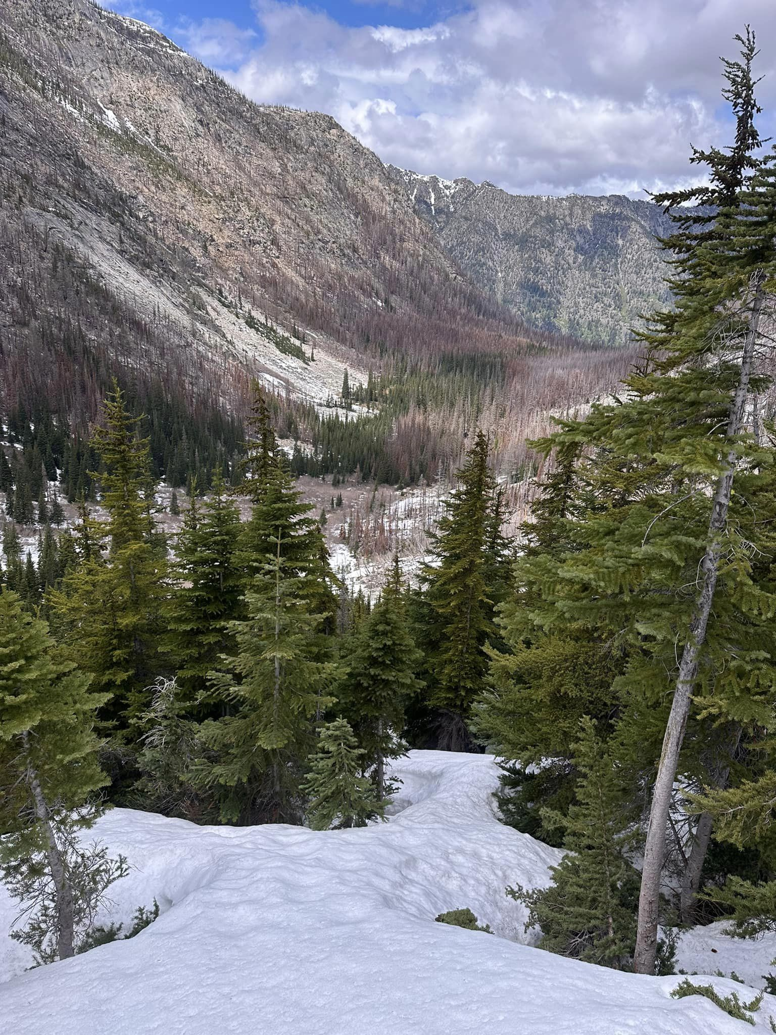 444483233_10220988630820327_6809805263446790858_n (1).png