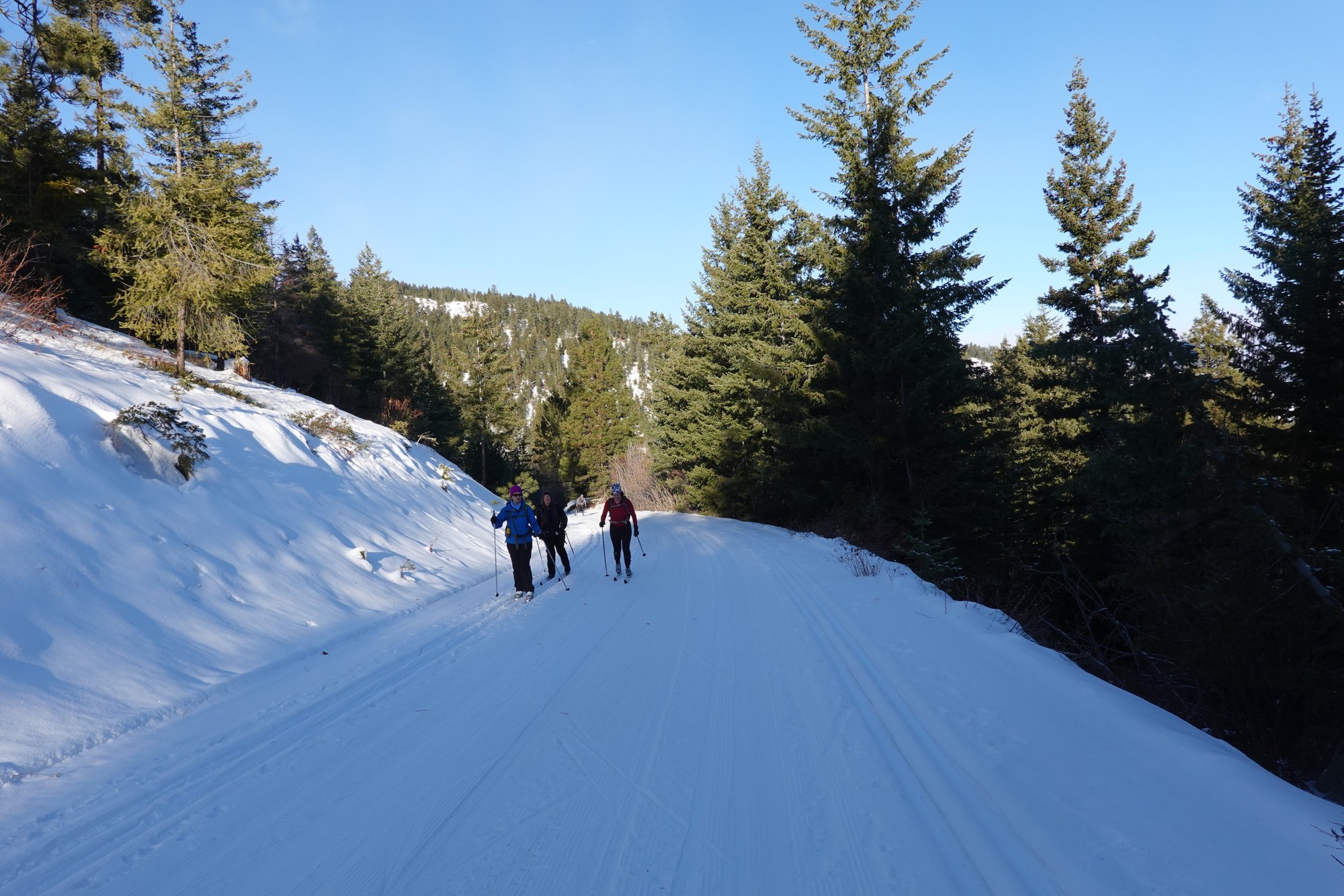 3 Teresa, Cheri and Danielle.jpg