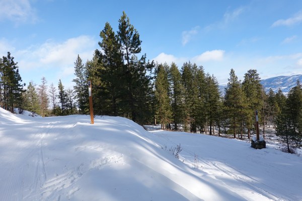 5 Meadowlark & Bluejay junction.jpg