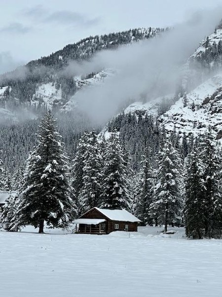 IMG_2435.jpeg IMG_2435.jpeg