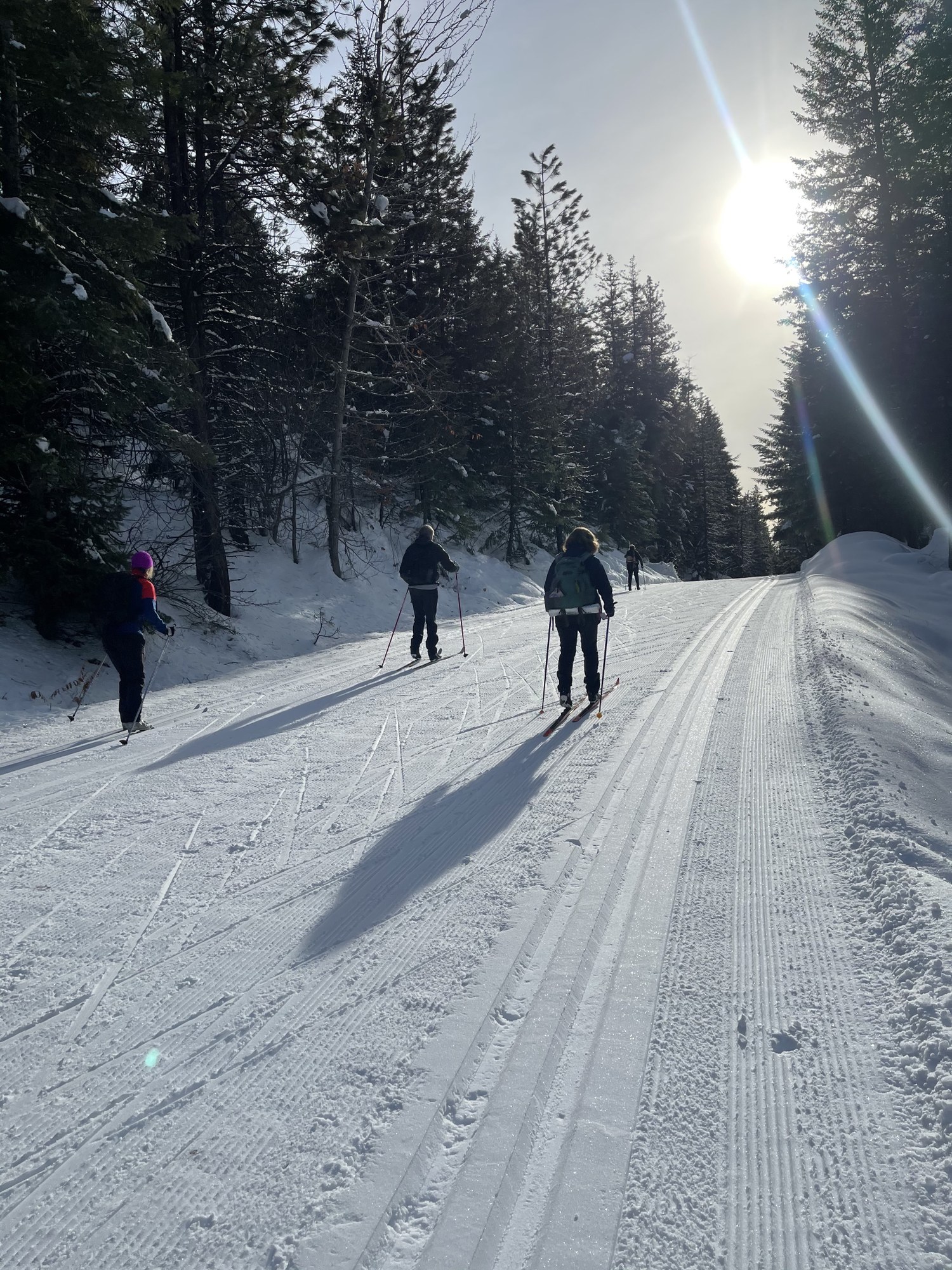 Up Thompson Ridge.jpg