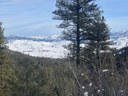 View from Thompson Ridge.JPG