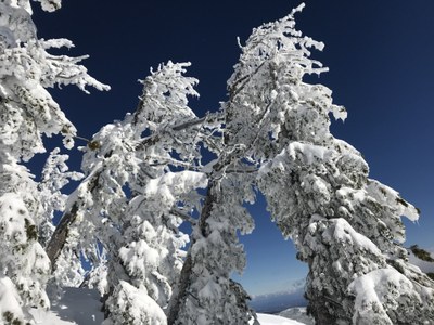Mount Bachelor Ski Area & Nordic Center