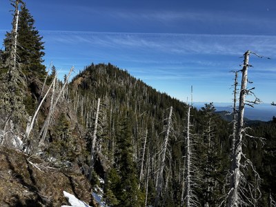 Skinwood Peak