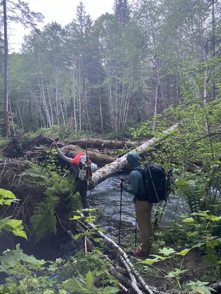 Crossing the first log jam
