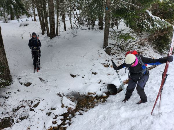 20250315_102612 resized.jpg