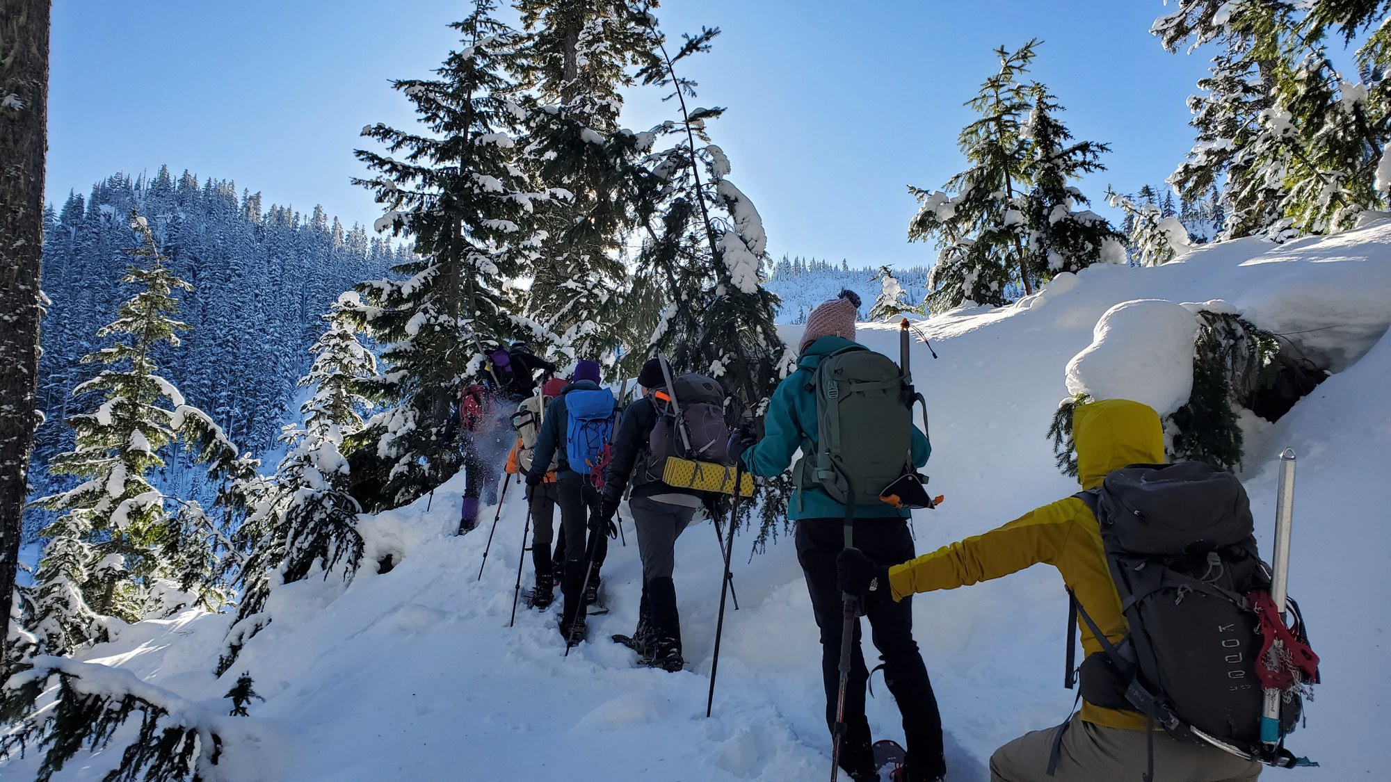 20230129_115037 (1).jpg