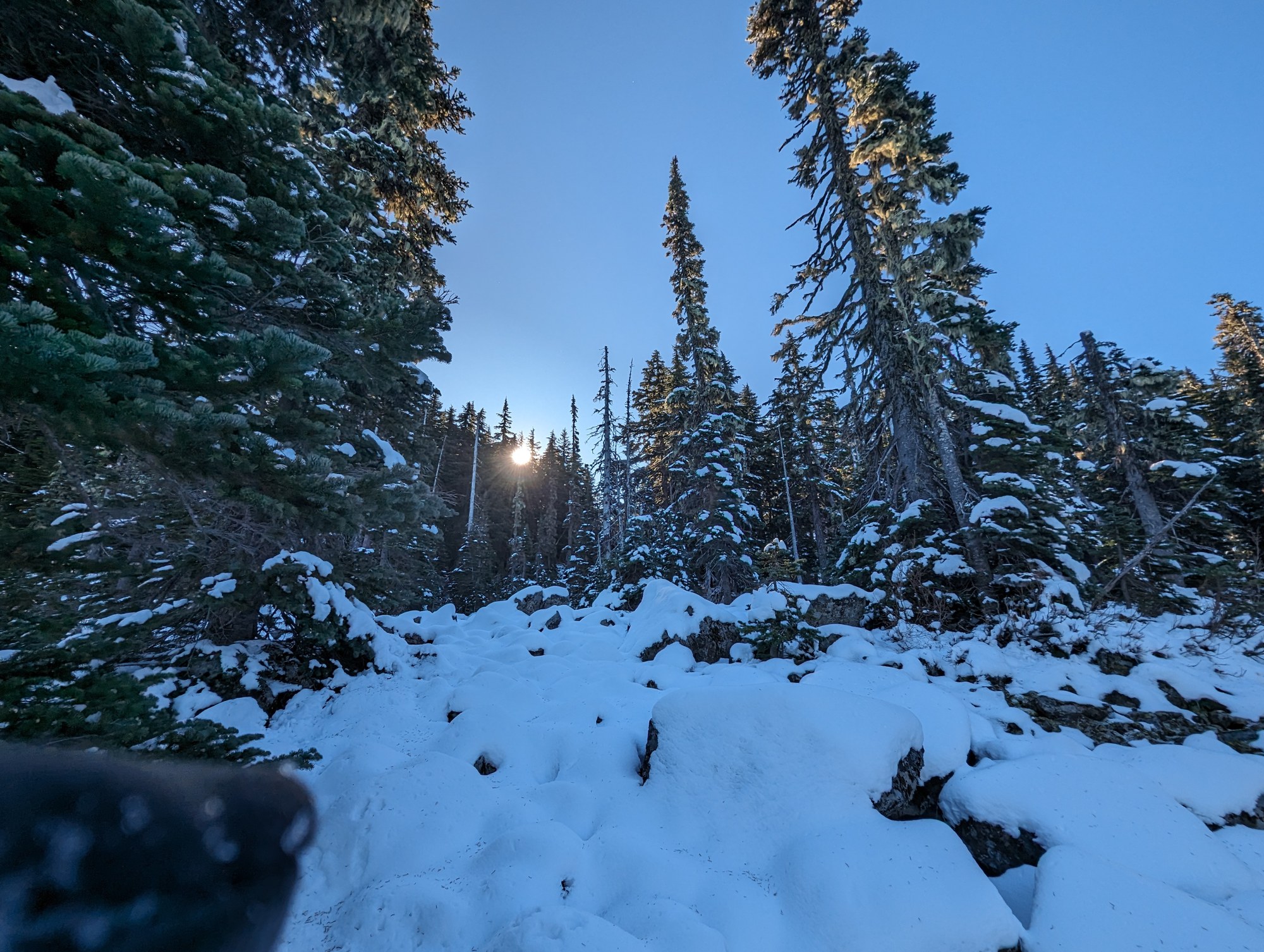 PXL_20231029_173839328 (1).jpg