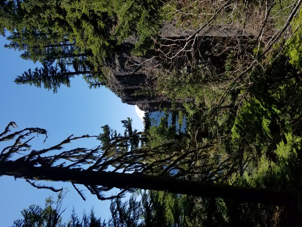 Snoquara Palisades.jpg