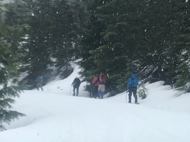 Anderson Lake trail.jpg