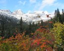 IMG_7434SnowFallColor.JPG