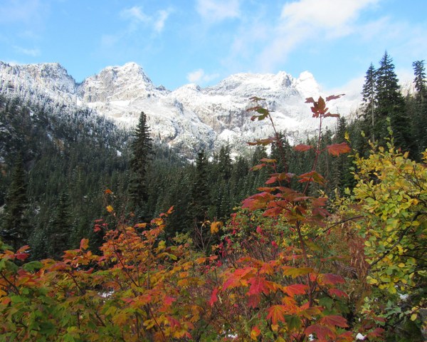 Fall leaves and snowy peaks.