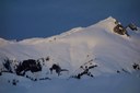 Snowking Mountain/Northeast Shoulder