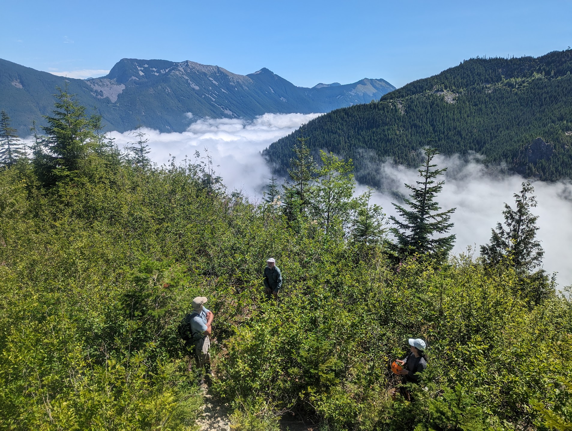 PXL_20230721_183718152 (1).jpg